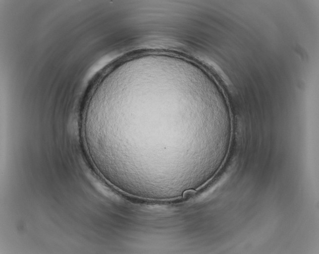 X0000111001114200907022131