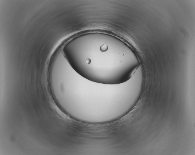 X0000111001116200907022131