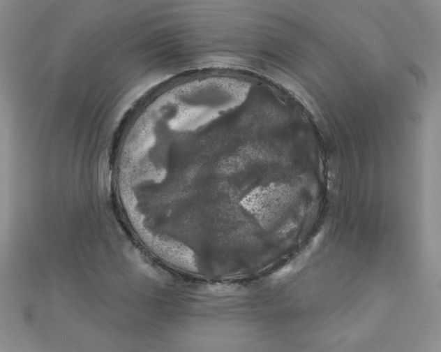 X0000111001117200907022131