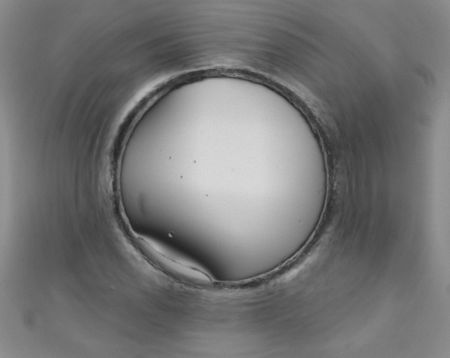 X0000111001118200907022131