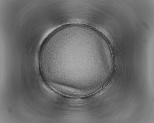 X0000111001120200907022131