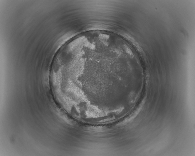 X0000111001121200907022131