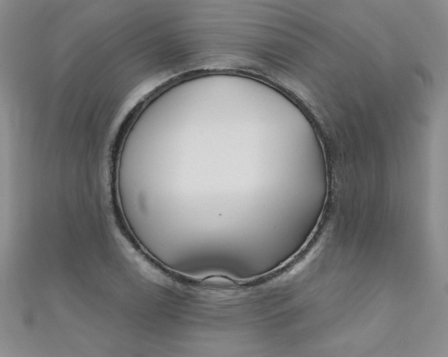 X0000111001122200907022131