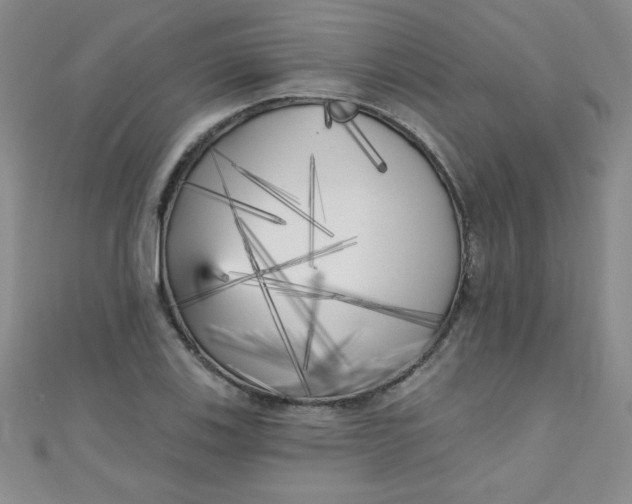 X0000111001123200907022131