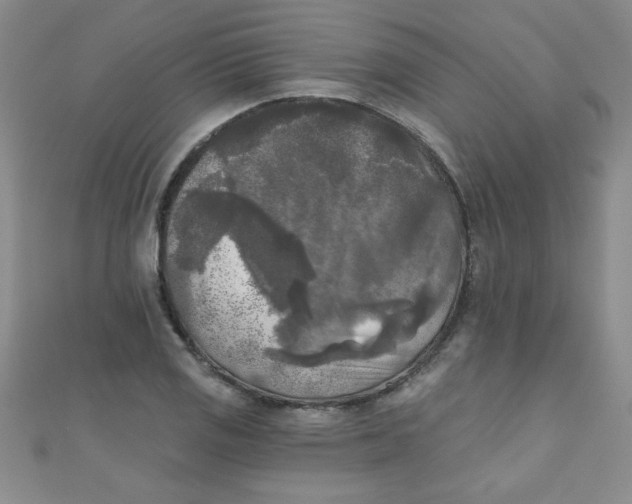 X0000111001125200907022131