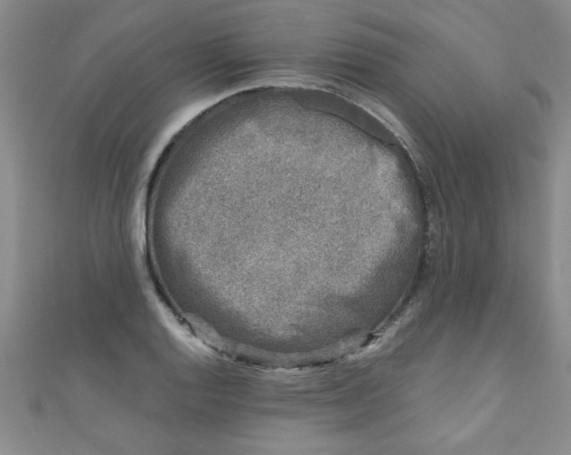 X0000111001128200907022131