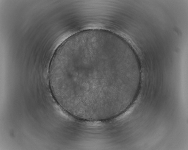 X0000111001129200907022131