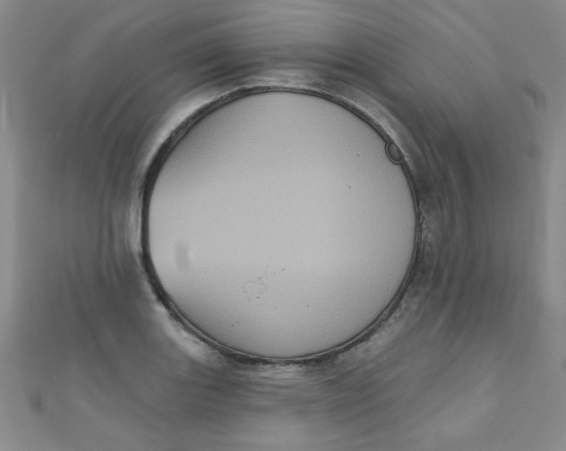 X0000111001131200907022131