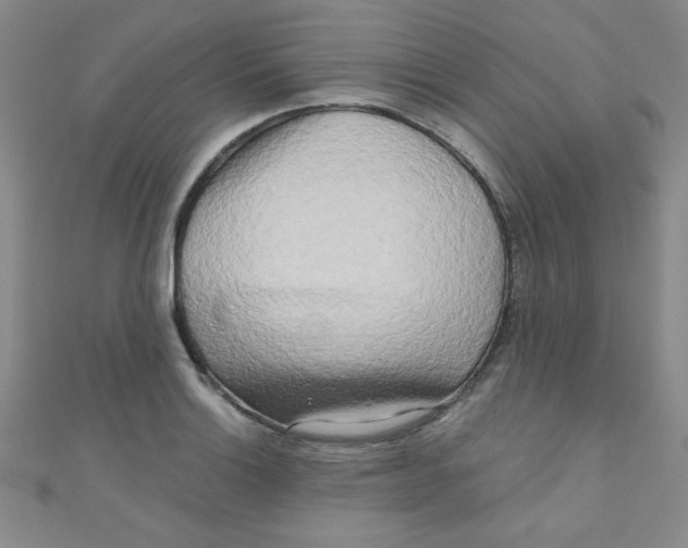 X0000111001132200907022131