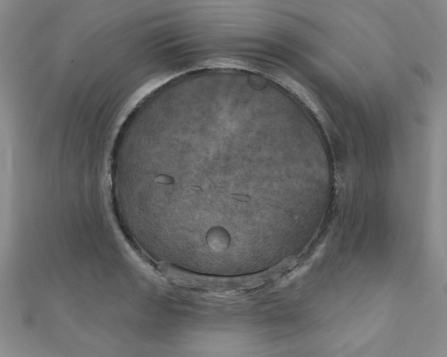 X0000111001133200907022131