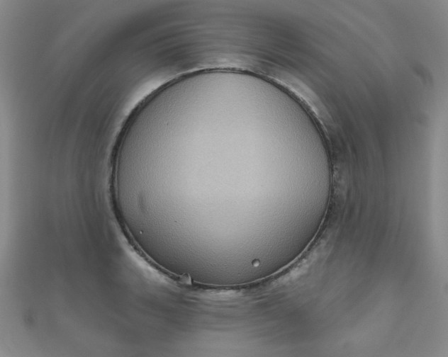 X0000111001135200907022131