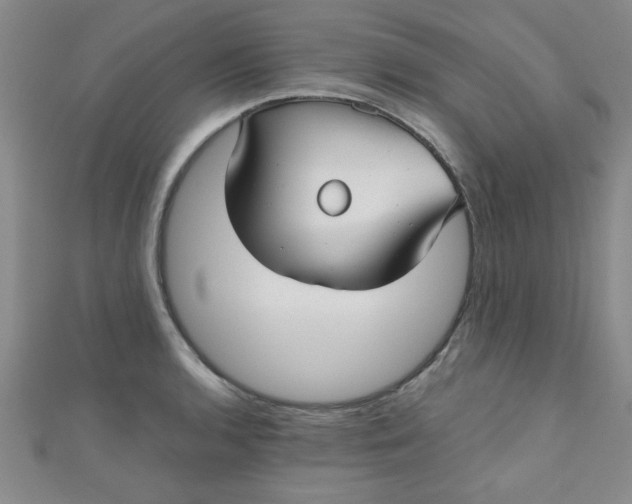 X0000111001136200907022131