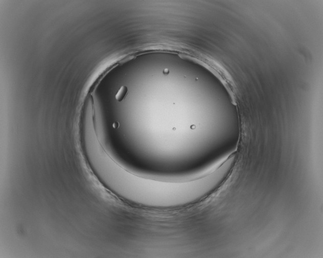 X0000111001138200907022131