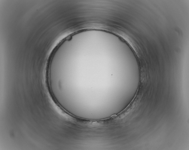 X0000111001139200907022131