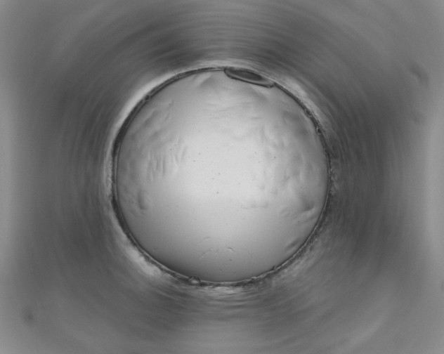 X0000111001140200907022131