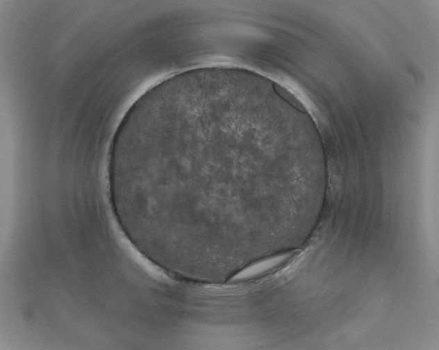 X0000111001142200907022131