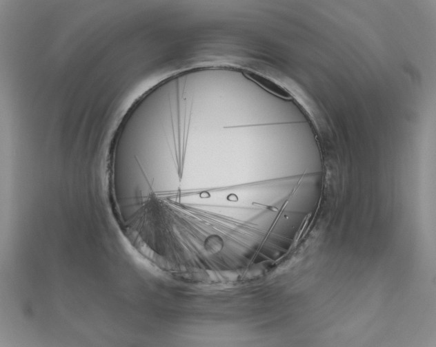 X0000111001143200907022131