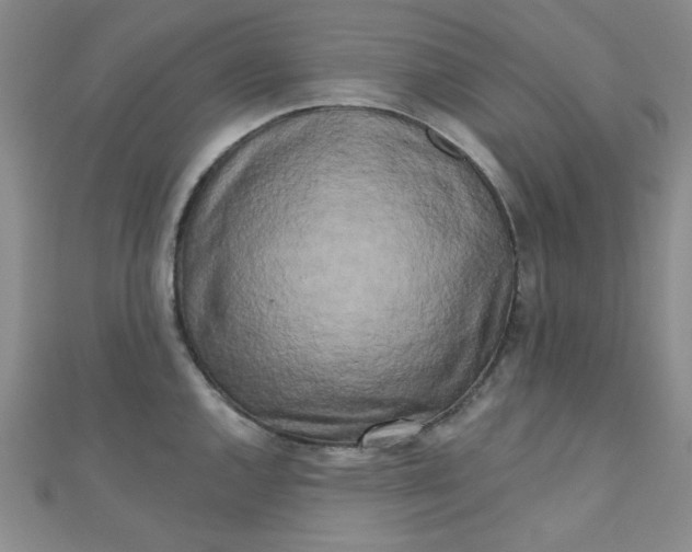 X0000111001144200907022131