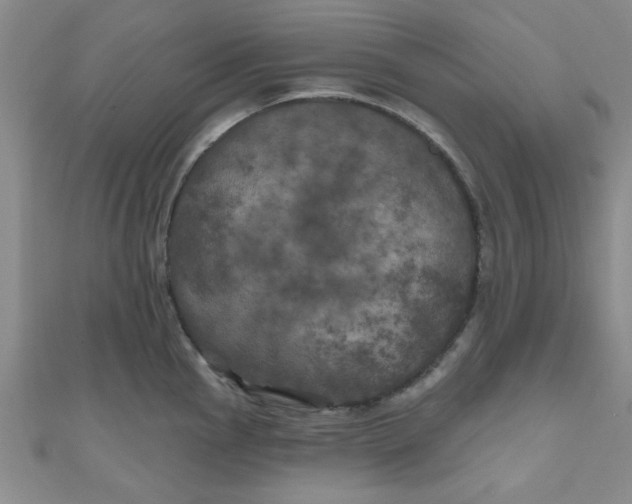 X0000111001145200907022131