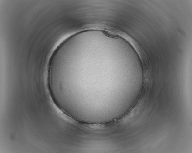 X0000111001147200907022131