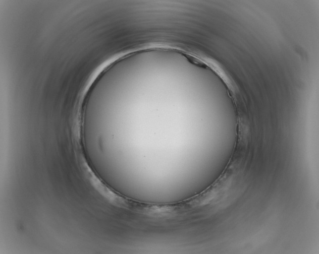 X0000111001148200907022131