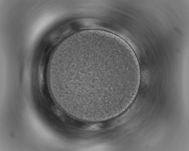 X0000111001150200907022131