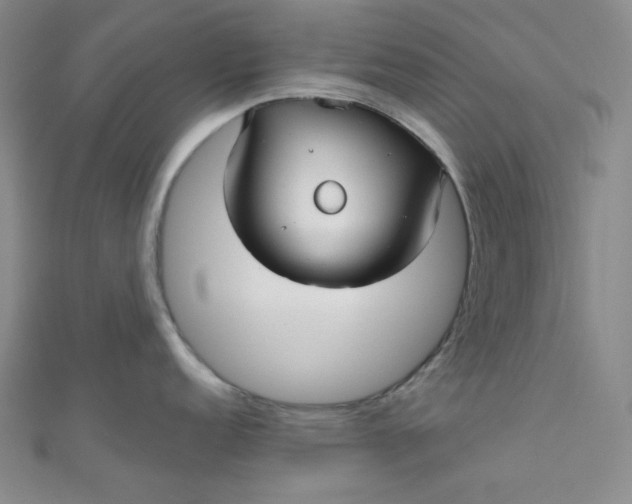 X0000111001152200907022131