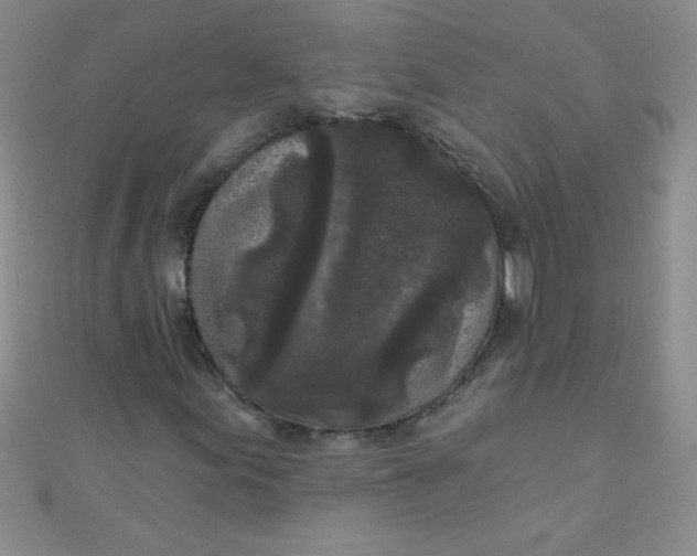 X0000111001155200907022131