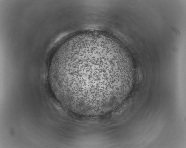 X0000111001158200907022131