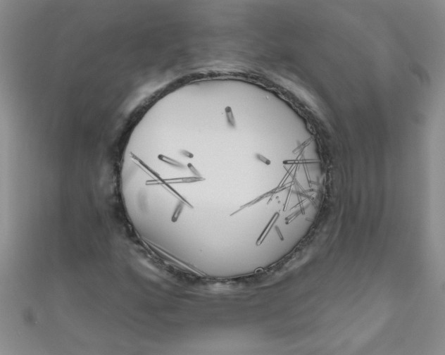 X0000111001160200907022131