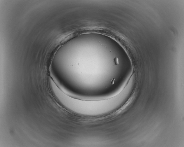 X0000111001161200907022130