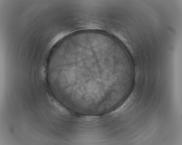 X0000111001163200907022130