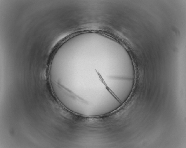 X0000111001166200907022130