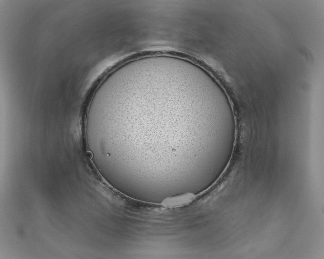 X0000111001167200907022130