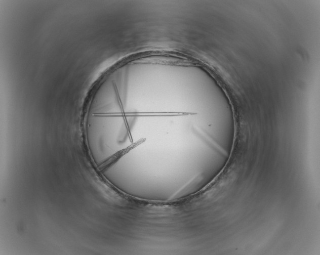 X0000111001168200907022130