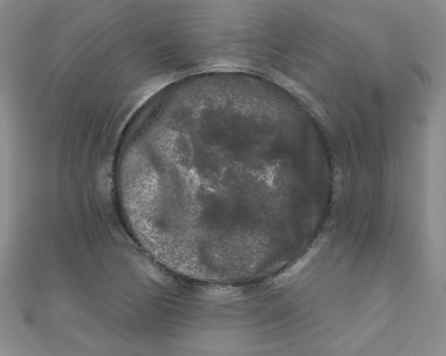 X0000111001170200907022130