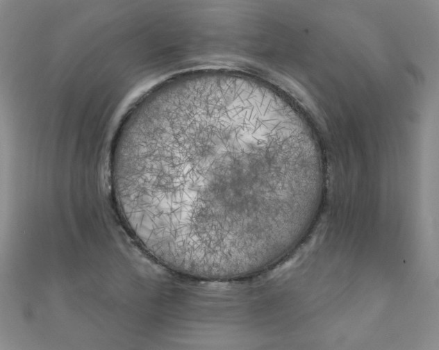 X0000111001172200907022130