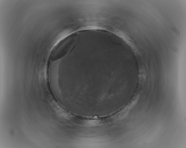 X0000111001173200907022130