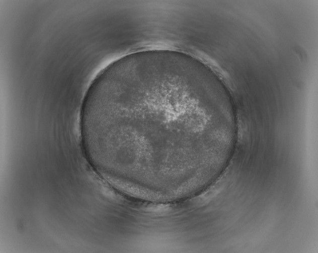 X0000111001174200907022130