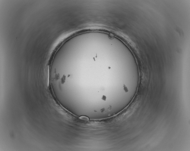 X0000111001175200907022130