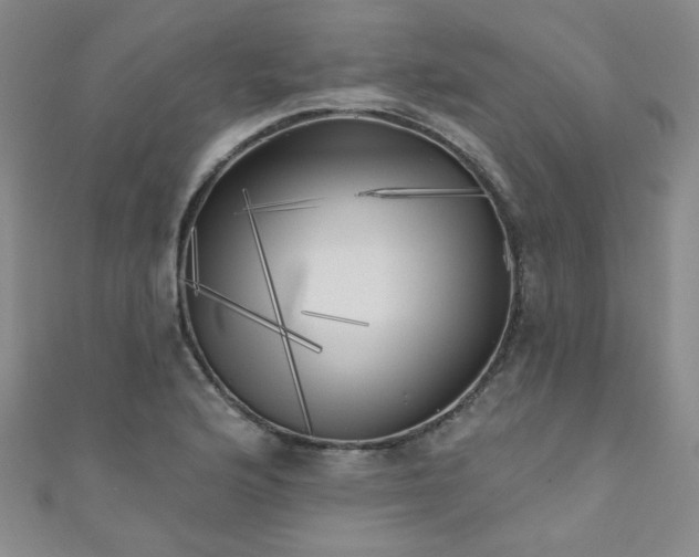 X0000111001176200907022130