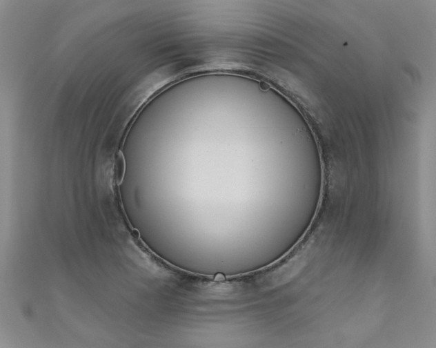 X0000111001177200907022130