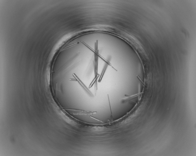 X0000111001180200907022130