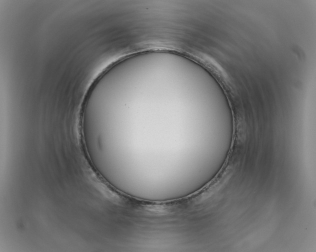 X0000111001182200907022130