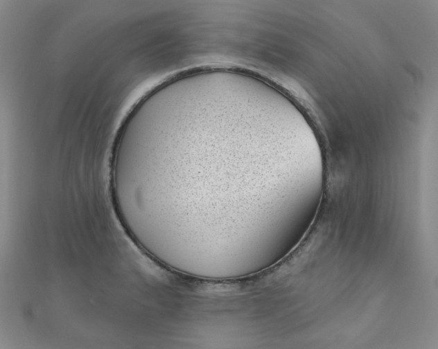 X0000111001183200907022130