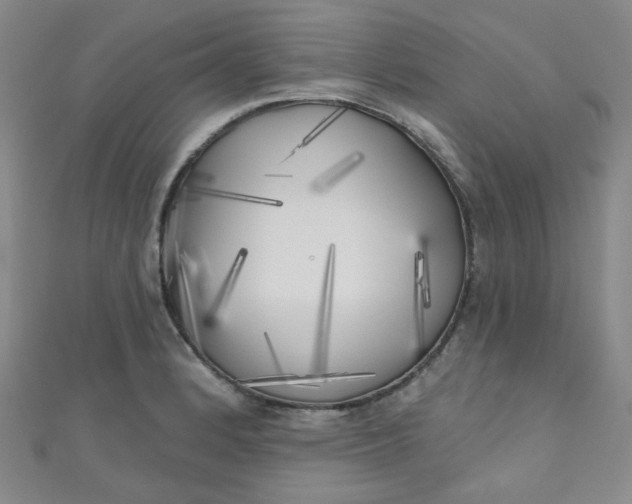 X0000111001184200907022130