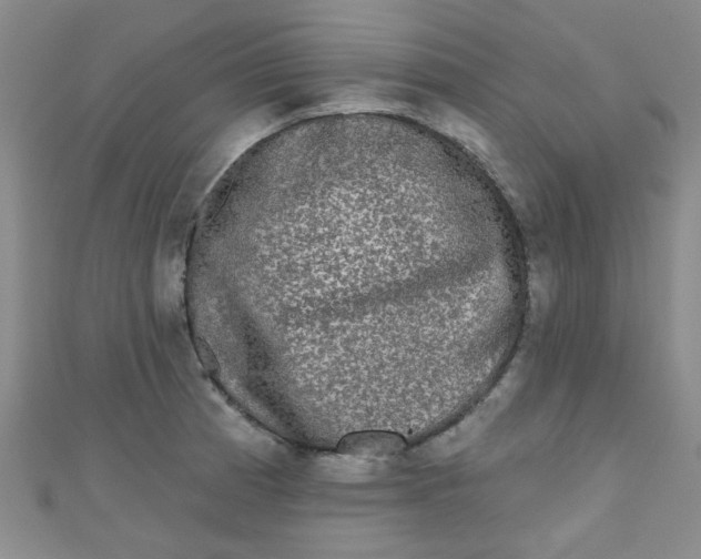 X0000111001185200907022130