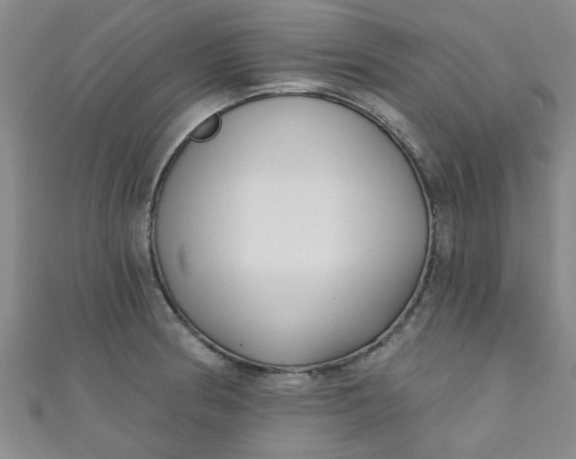 X0000111001186200907022130