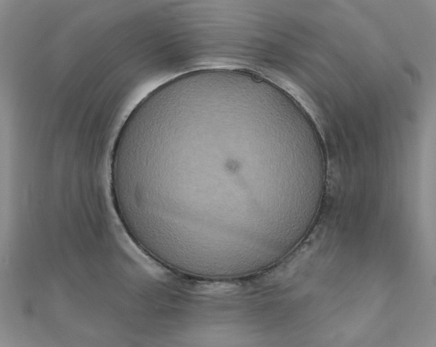 X0000111001187200907022130