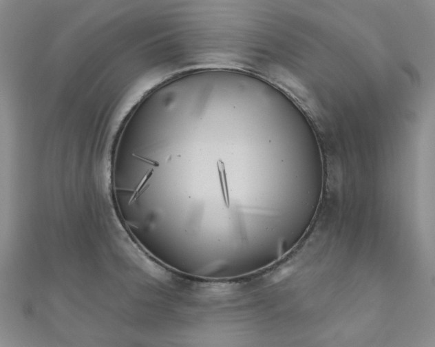 X0000111001188200907022130